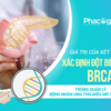 Quản lý các bệnh nhân ung thư biểu mô tuyến tuỵ mang đột biến gen BRCA