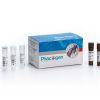 Group B Streptococcus Realtime PCR Kit