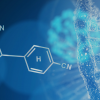 Call for registration-Course "Molecular biology techniques - Beginner & Intermediate level"- Class 2