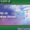 Cơn bão Cytokin (Cytokine Release Syndrome)