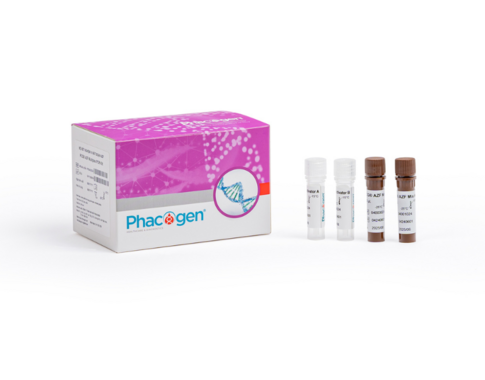 PCG® AZF Multiplex PCR Kit