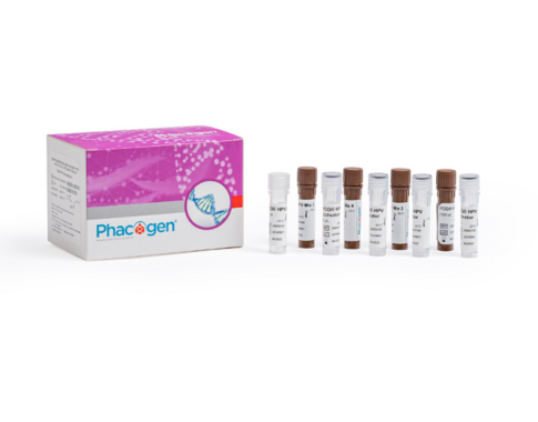 PCG® HPV Genotyping Kit