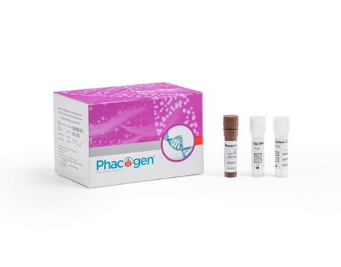 PCG® I-GBS Real-time PCR Kit