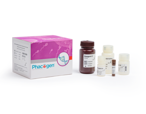 PCG® Sperm DNA Fragmentation Kit