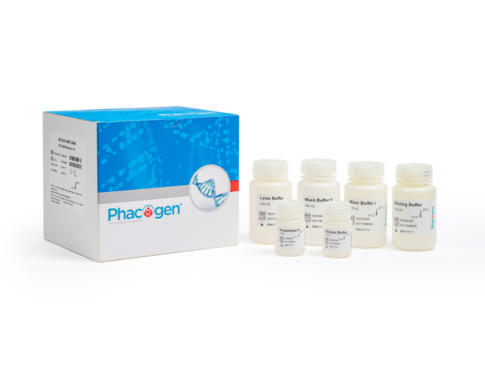 PCG® cfDNA Extraction Kit