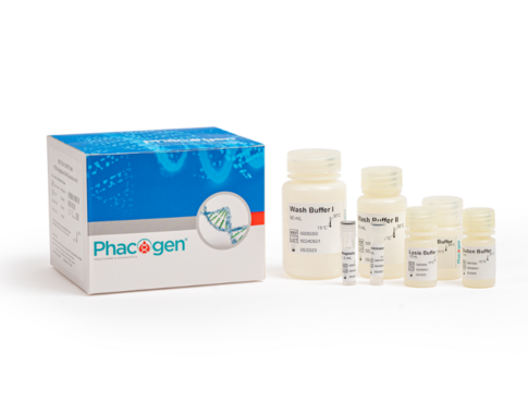 PCG® MagBead DNA Extraction Kit