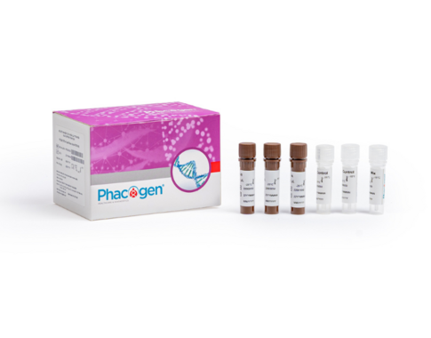 PCG® Vaginal Infections & STIs Fast Real-time PCR Kit