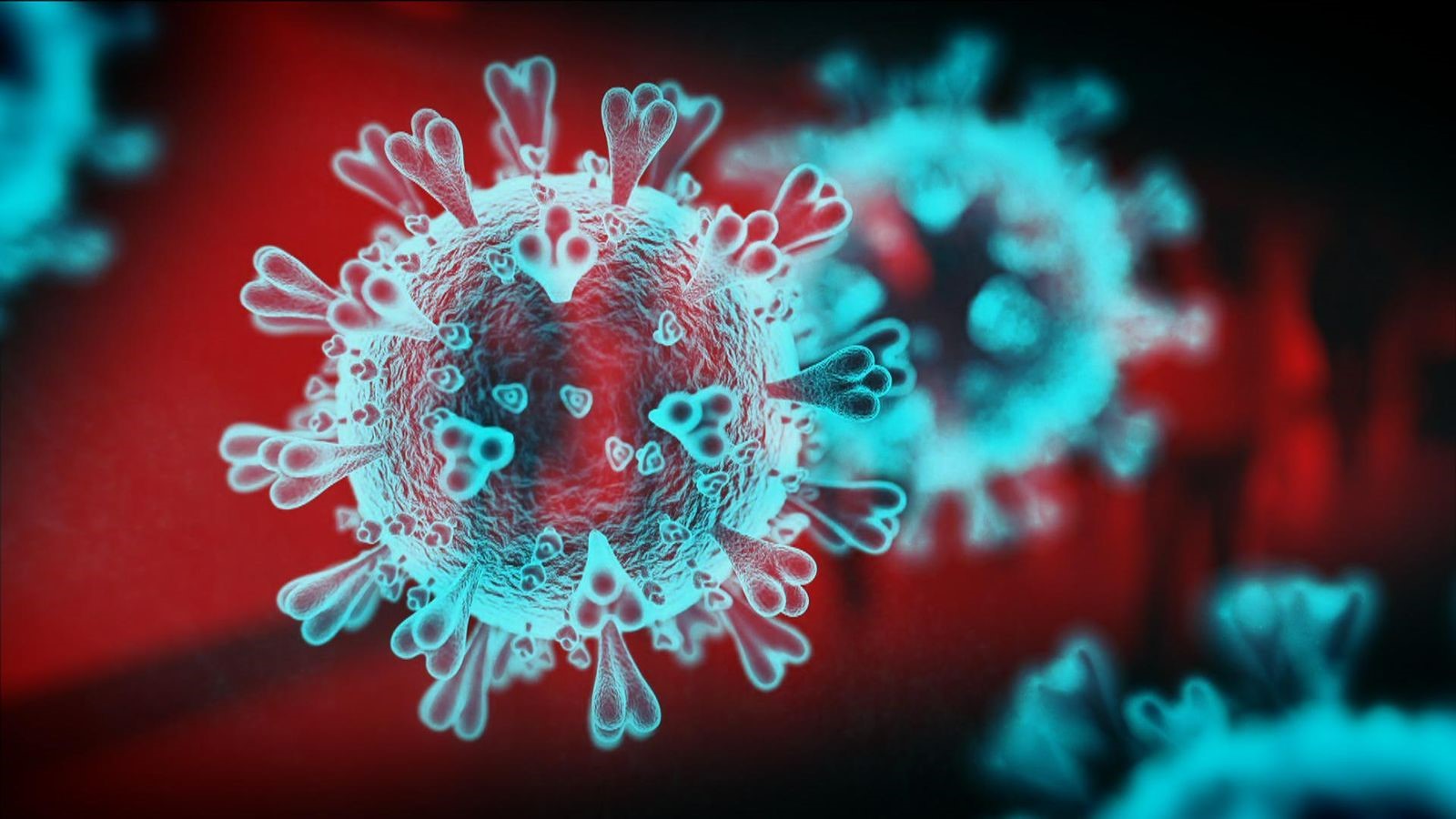 Viral load molecular analysis by Realtime PCR - Class 1