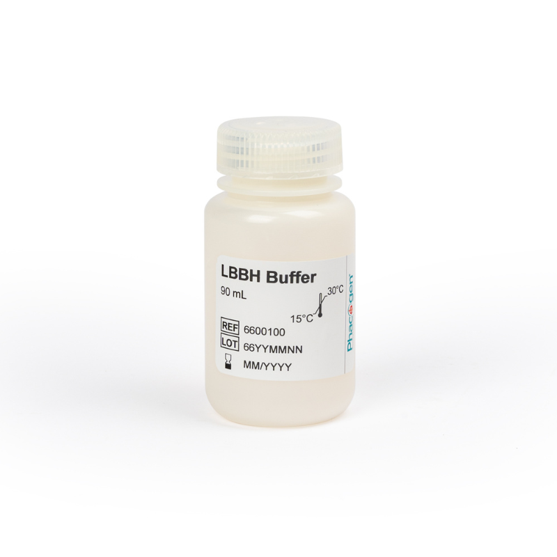 LBBH Buffer - Group B streptococcus treatment buffer