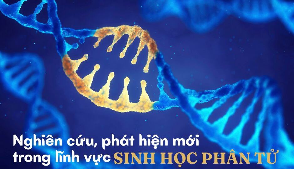 New research and discoveries in the field of molecular biology in 2023