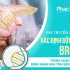 Quản lý các bệnh nhân ung thư biểu mô tuyến tuỵ mang đột biến gen BRCA