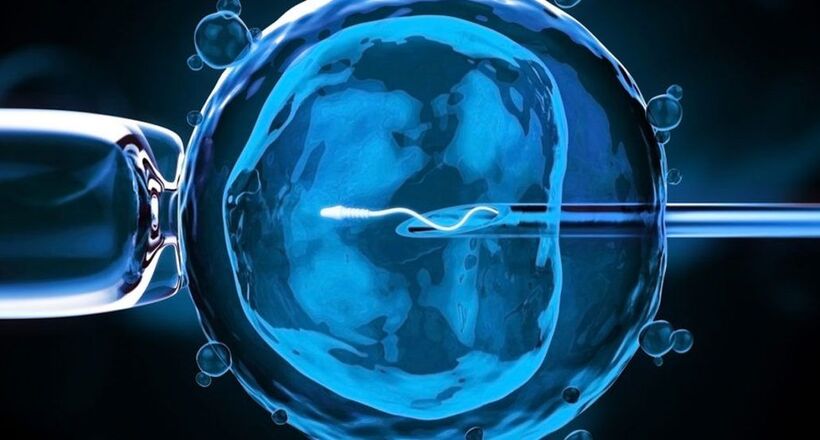 Để “trẻ ống nghiệm” sinh ra khỏe mạnh