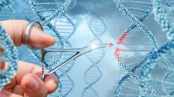 CRISPR - A new route to produce antibiotics