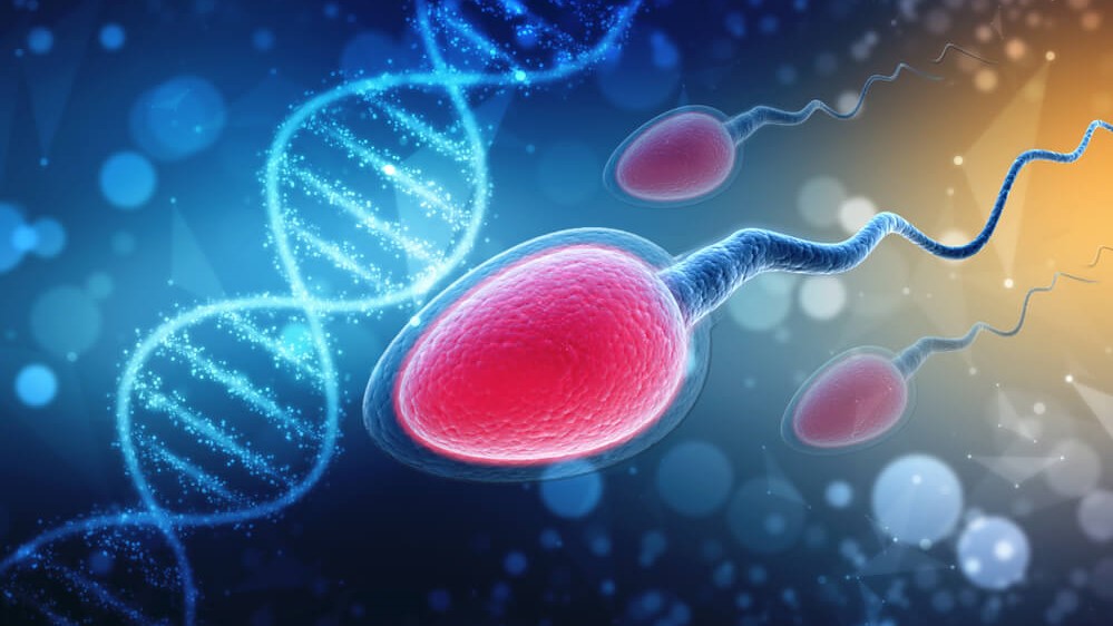 APPLICATION OF FLOW CYTOMETRY IN THE DIAGNOSIS OF SPERM DNA FRAGMENTATION